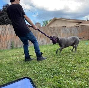 Meet your Posher, Nicholas